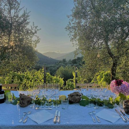 Tenuta Di Tramonte Boutique Hotel Lucca Buitenkant foto